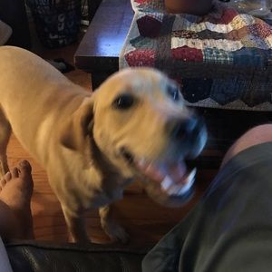 Meet your Posher, Nick