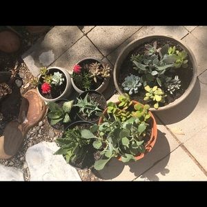 Meet your Posher, Breiana