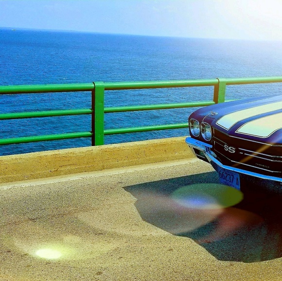 Meet your Posher, Ryder - Picture 1 of 1