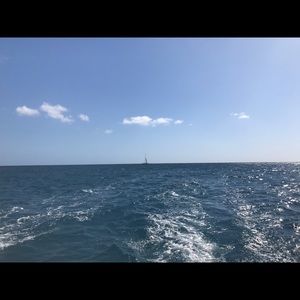 Meet your Posher, Andreea