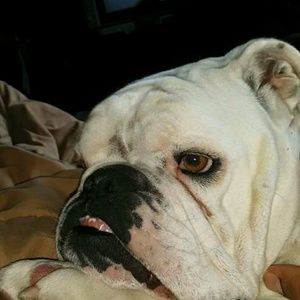 Meet your Posher, Bal