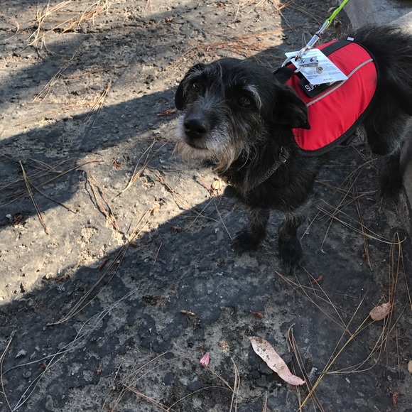 Meet your Posher, Joanne - Picture 1 of 1