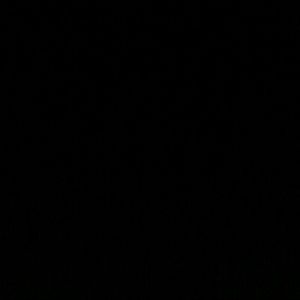 Meet your Posher, Lynette