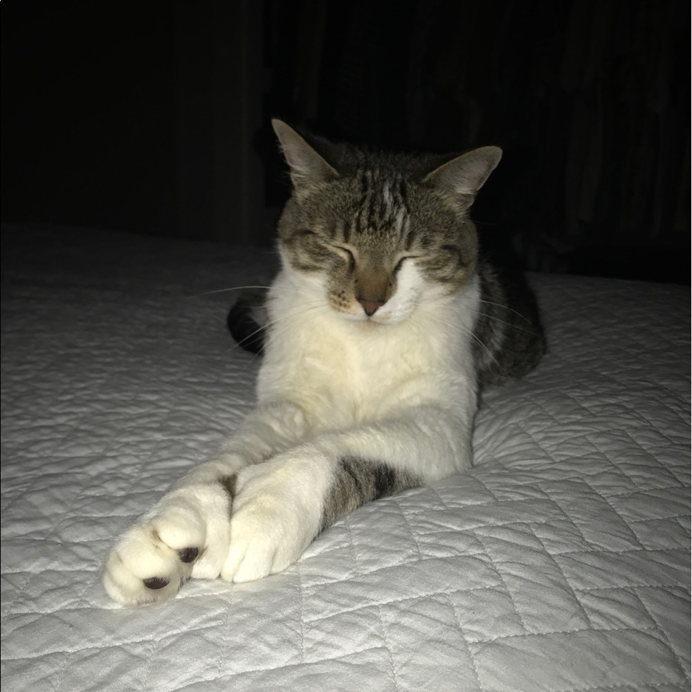 Meet your Posher, Polina