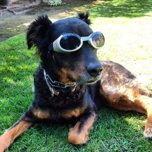 Meet your Posher, Risa