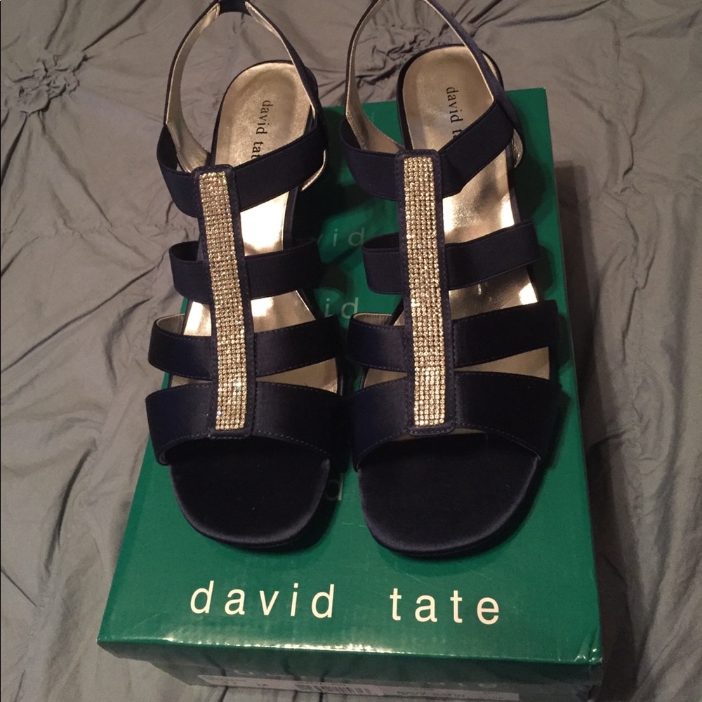 David Tate Navy Statin sandals