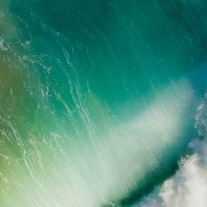 Meet your Posher, Carla