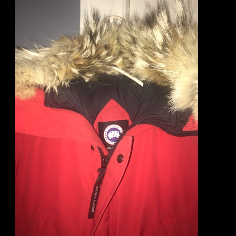 Canadian goose bomber