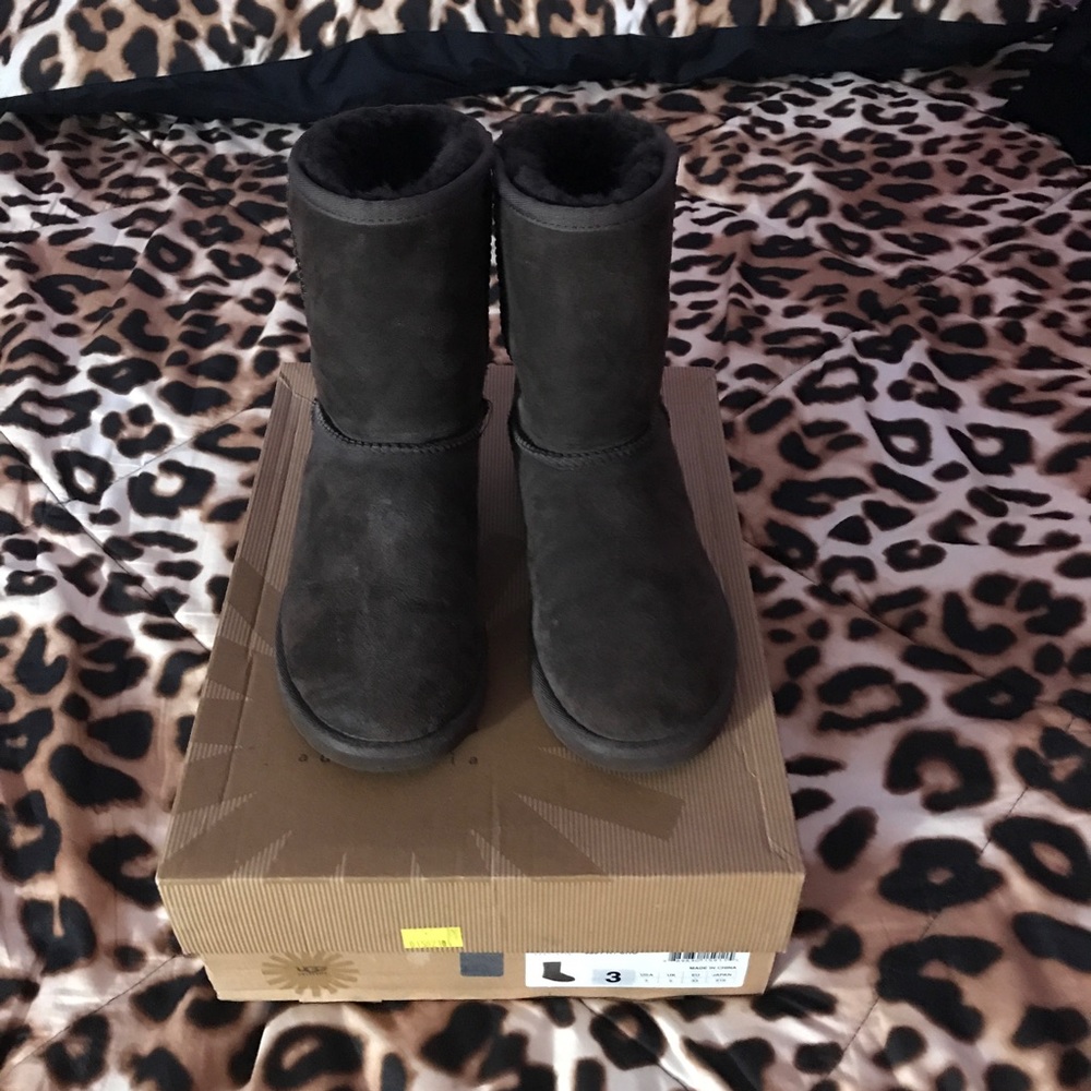 Ugg's Boots