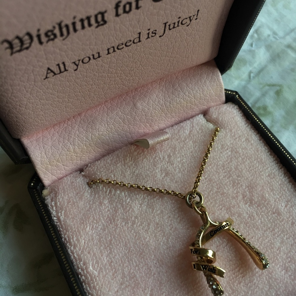 Juicy Couture Wishbone Necklace - Picture 2 of 8