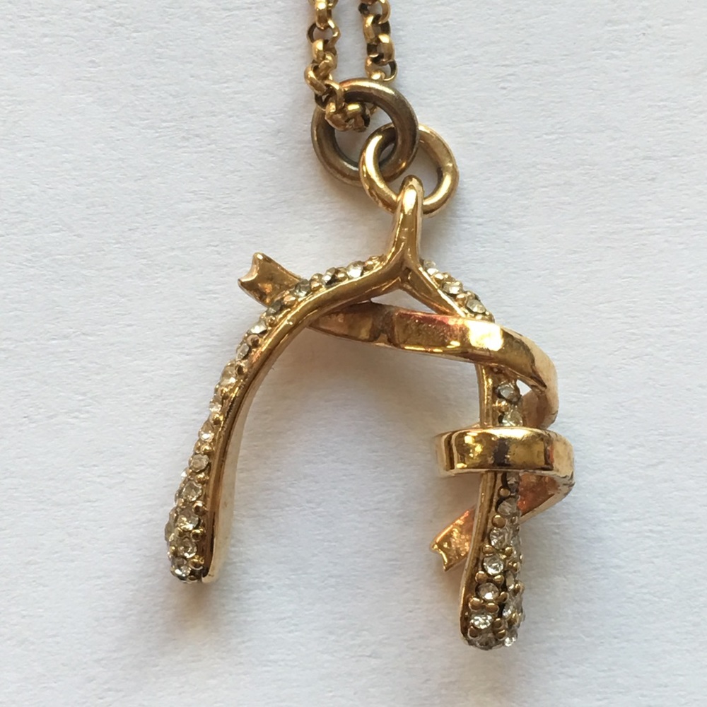 Juicy Couture Wishbone Necklace - Picture 6 of 8