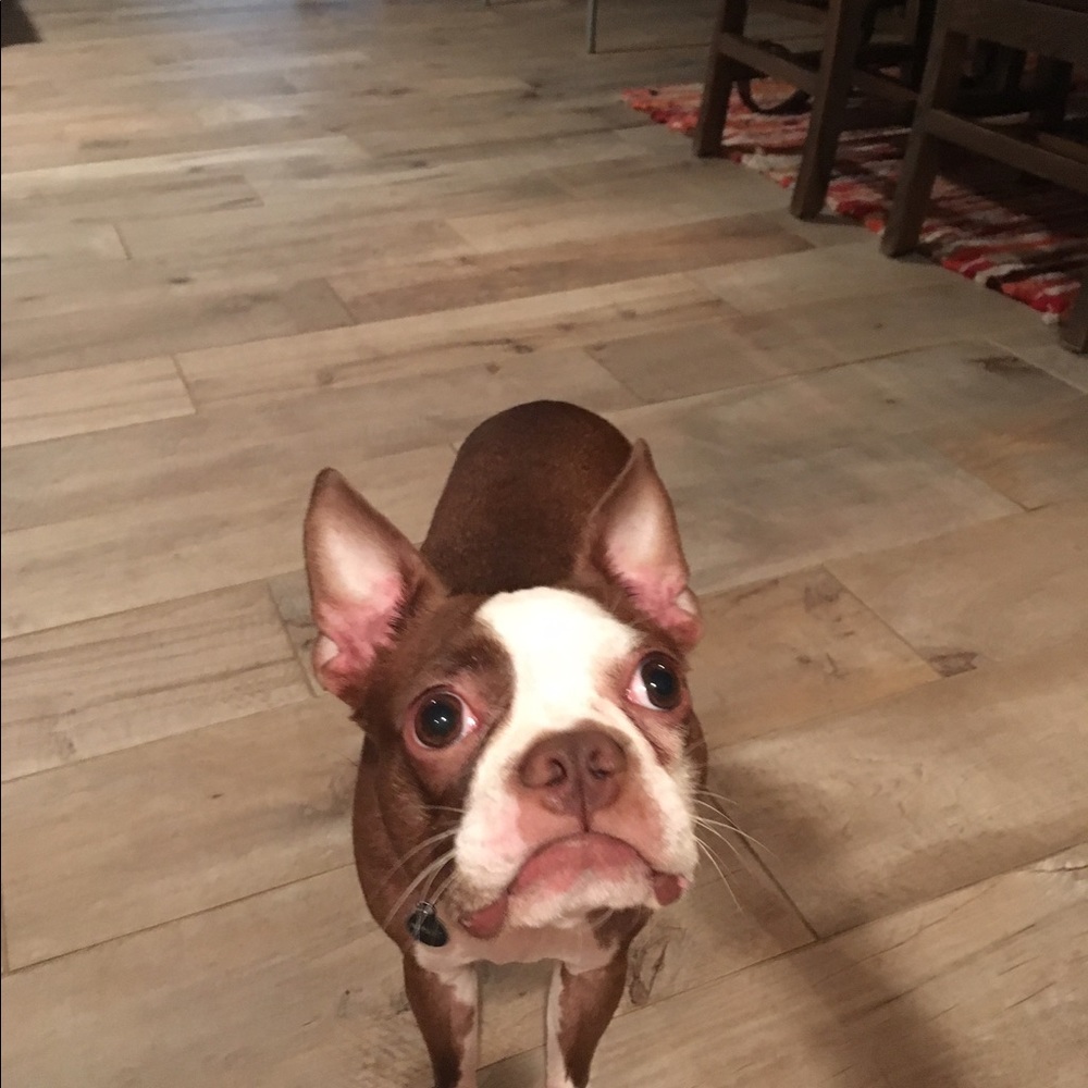 Meet your Posher, Gracr