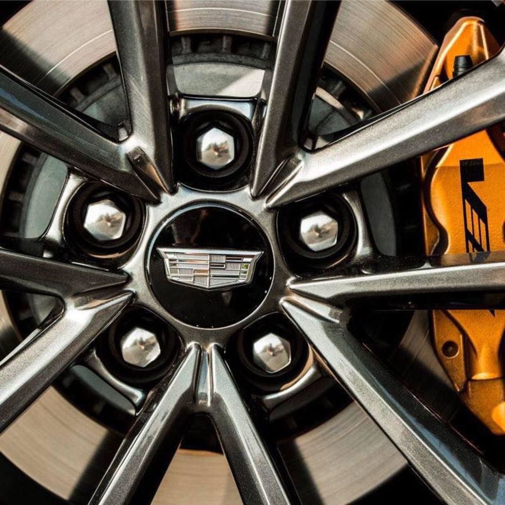 Meet your Posher, Moises