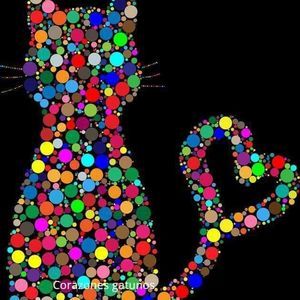 Meet your Posher, Eva