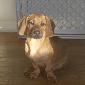 Meet your Posher, Charlene