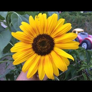 Meet your Posher, Tami