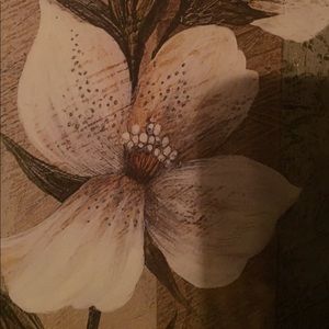 Meet your Posher, Carla