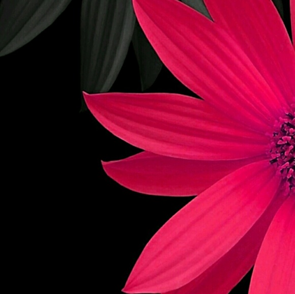 Meet your Posher, Casey - Picture 1 of 1