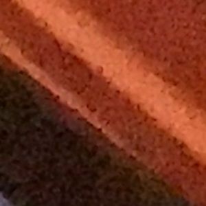 Meet your Posher, Noah