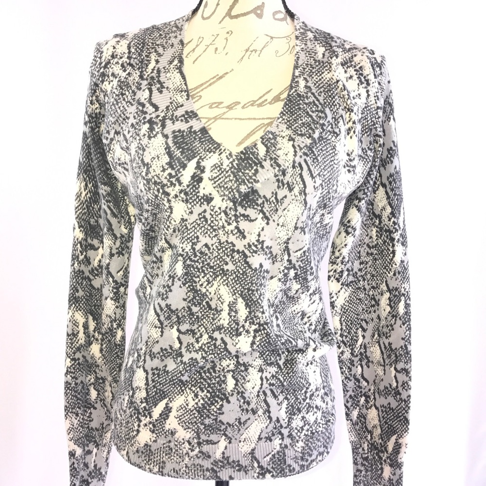 Express shirt/sweater