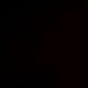 Meet your Posher, Delicia