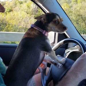 Meet your Posher, Terri