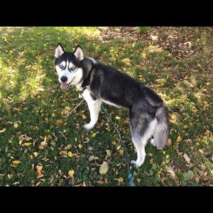 Meet your Posher, Victoria