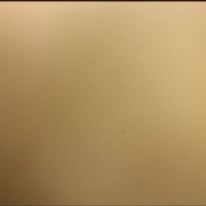 Meet your Posher, Dalany