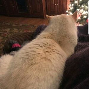 Meet your Posher, Krystal