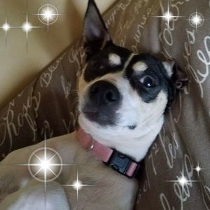 Meet your Posher, Savanna