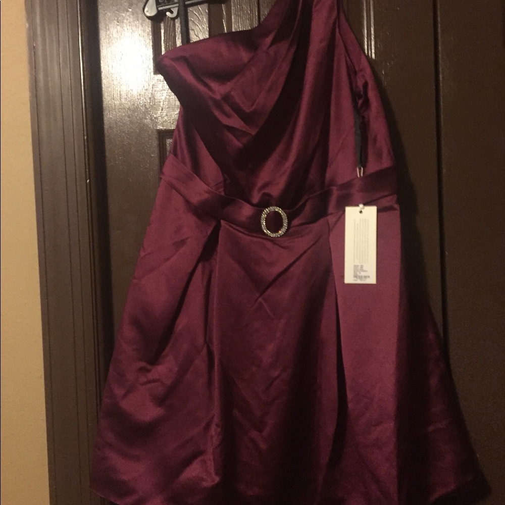 Cranberry holiday dress. Great for all holidays