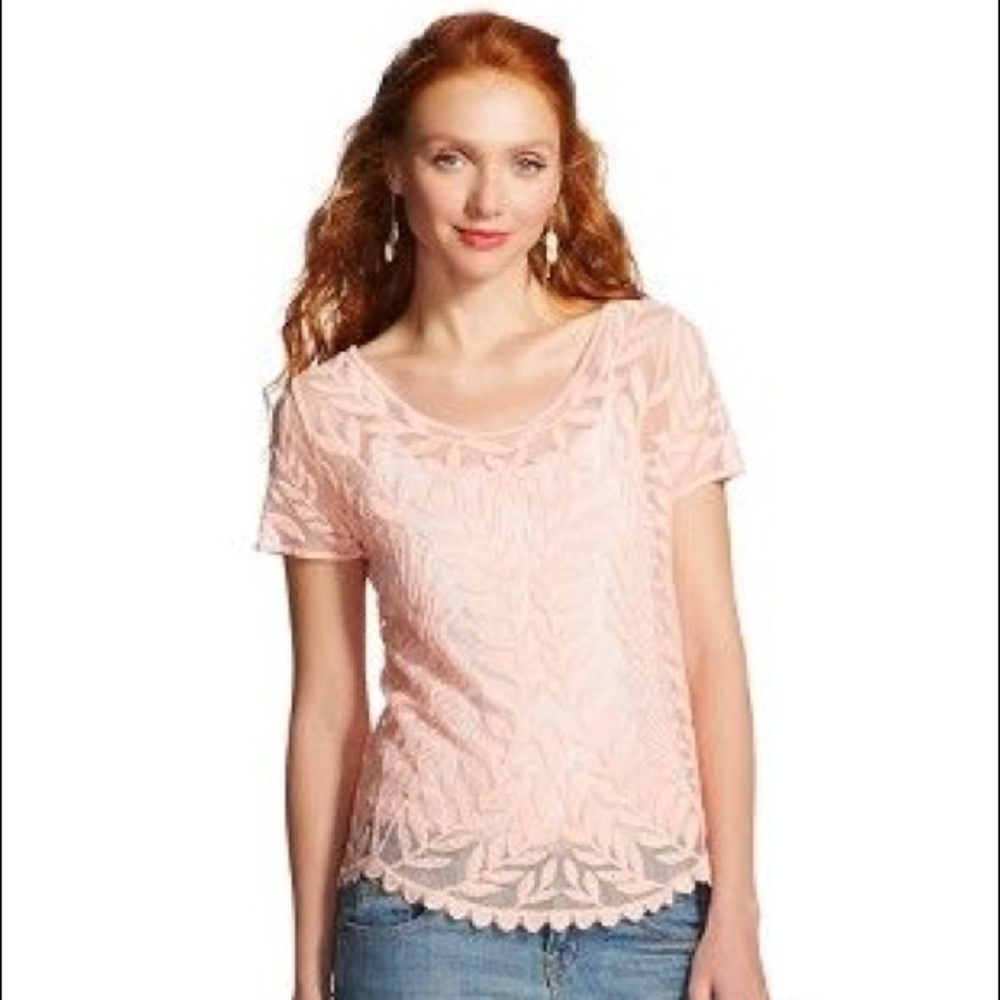 Embroidered Mesh top in Blush
