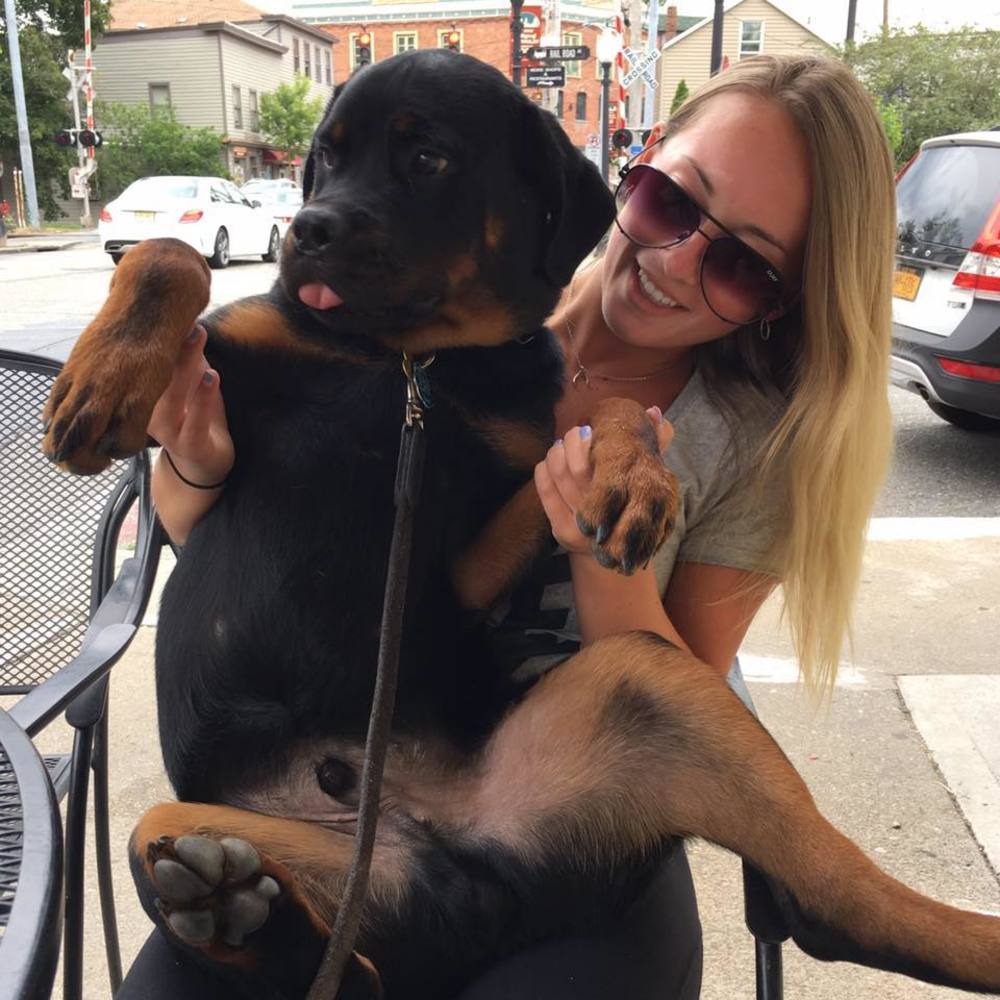 Meet your Posher, Vee