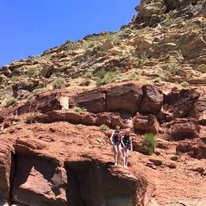 Meet your Posher, Alexis