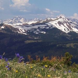 Meet your Posher, Elise