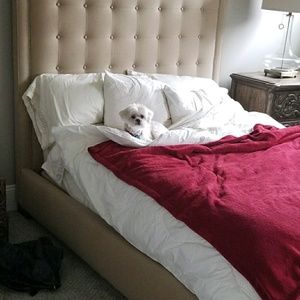 Meet your Posher, Noah