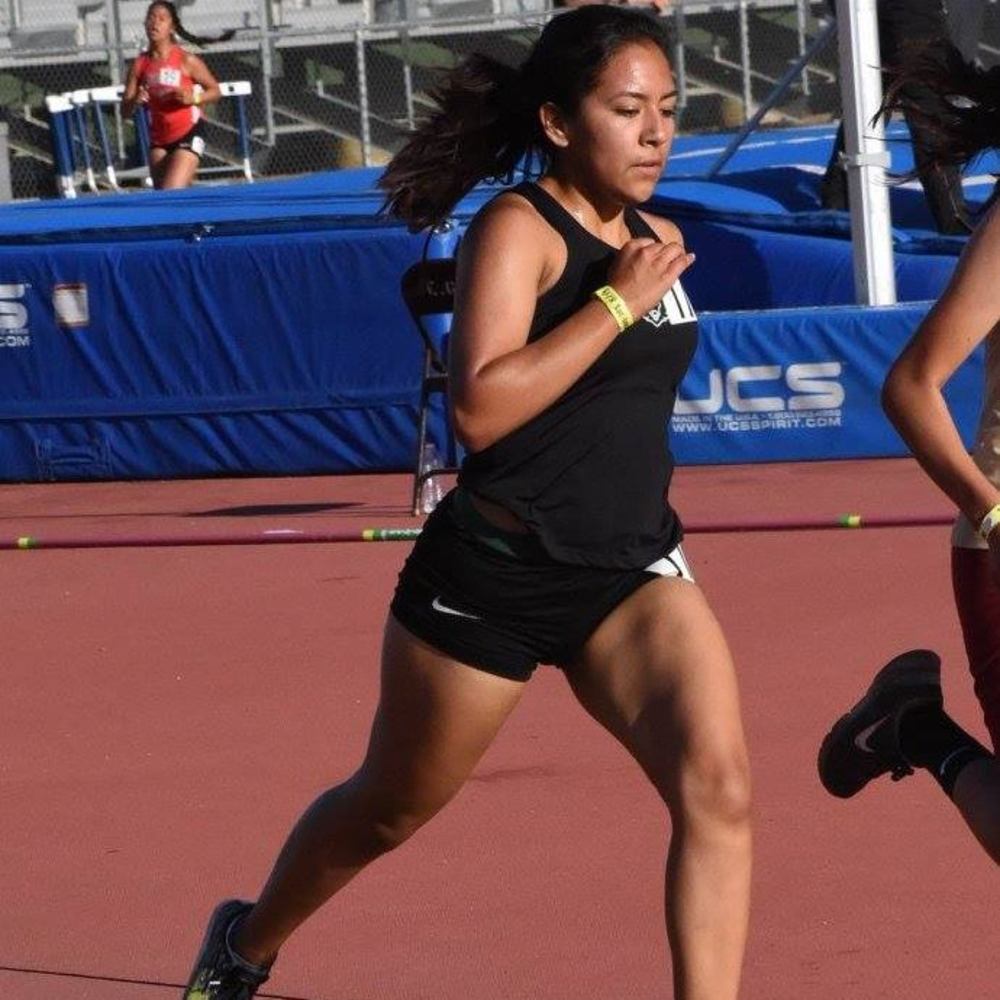 Meet your Posher, Priscilla