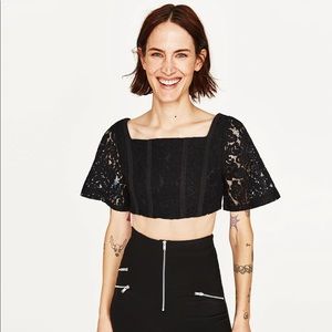 Zara Black Lace Crop Top Sz Med Zara Black Lace Crop Top Sz Med