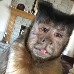 Meet your Posher, Diana