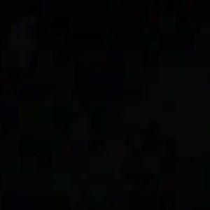 Meet your Posher, Daisy