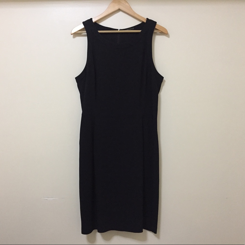 Theory Dress