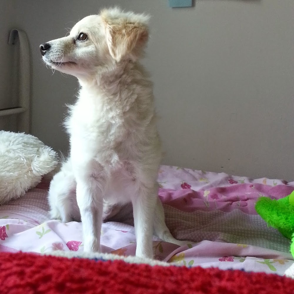 Meet your Posher, Wendy