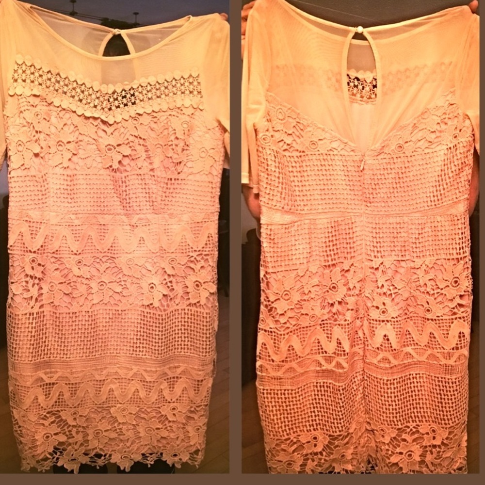 Beautiful lace overlay blush dress