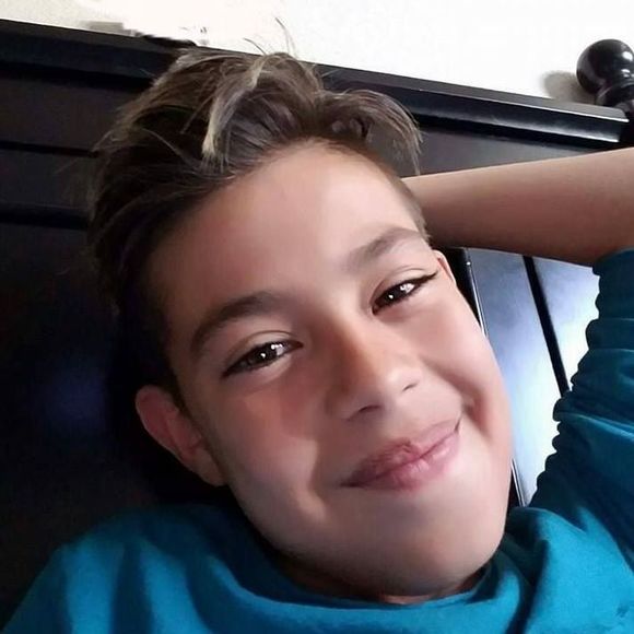 Meet your Posher, Ulysses - Picture 1 of 1