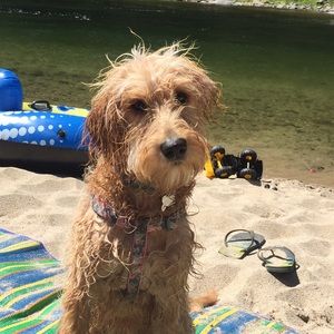 Meet your Posher, Andrea