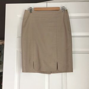 The Limited Skirt