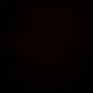 Meet your Posher, Harry