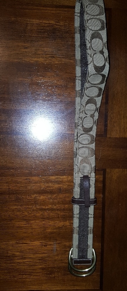 coach women belt