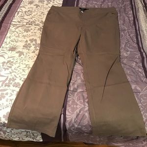 Torrid pants