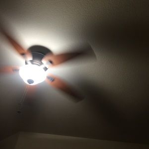 Meet your Posher, Mollie